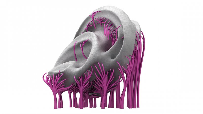 3D打印軟件-Autodesk Netfabb 3D打印軟件-Autodesk Netfabb